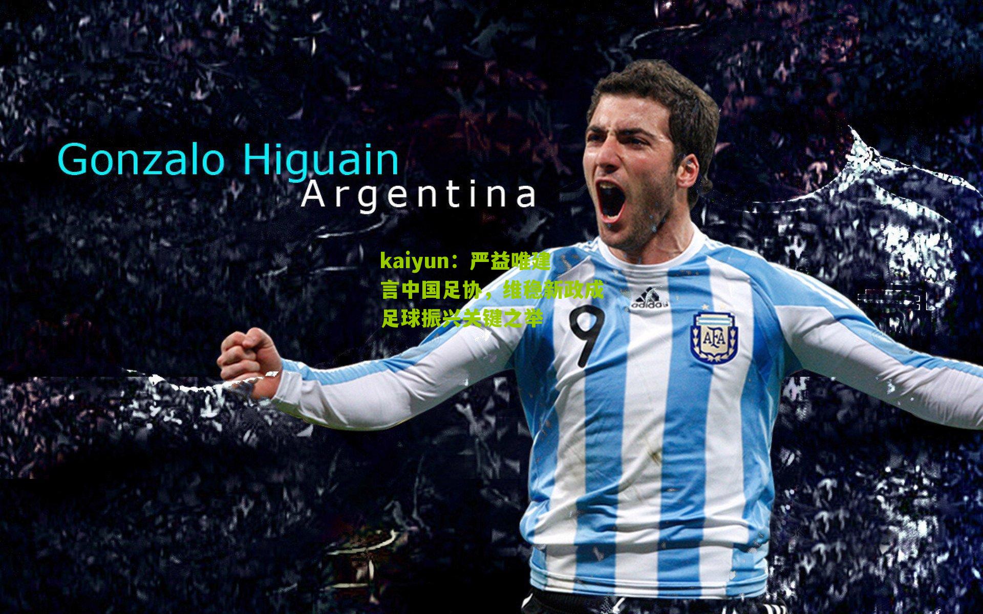 严益唯建言中国足协,维稳新政成足球振兴关键之举